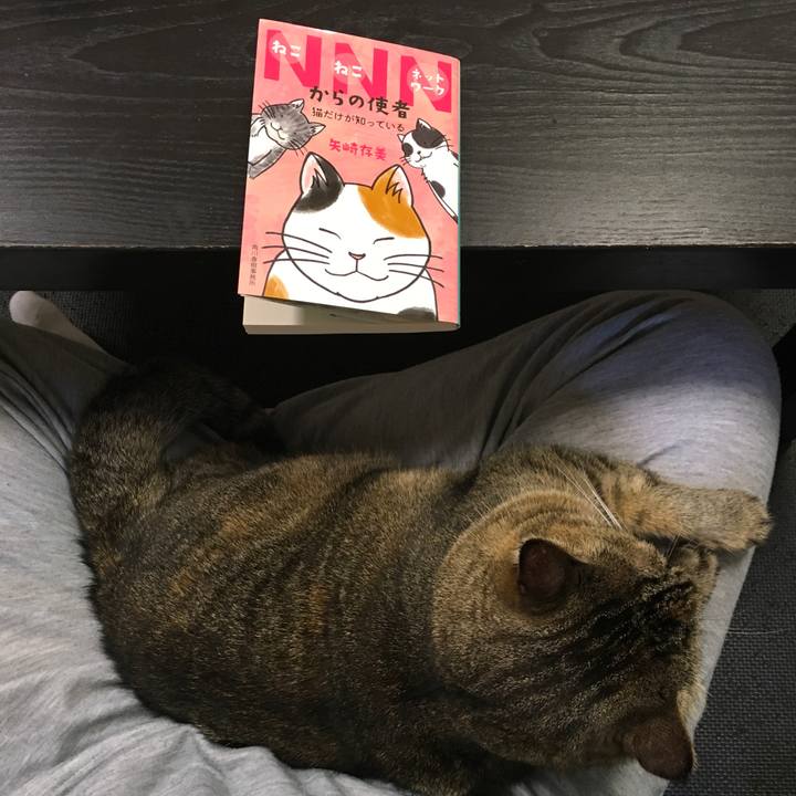 257be15a daf1 4587 8c0b 227a99f35dc2 1607866946435