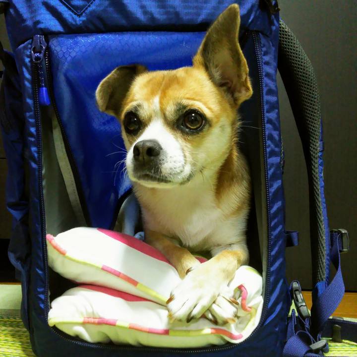 257c1187 effa 403a 845c d3c1dbd2d5ee 1570828764857