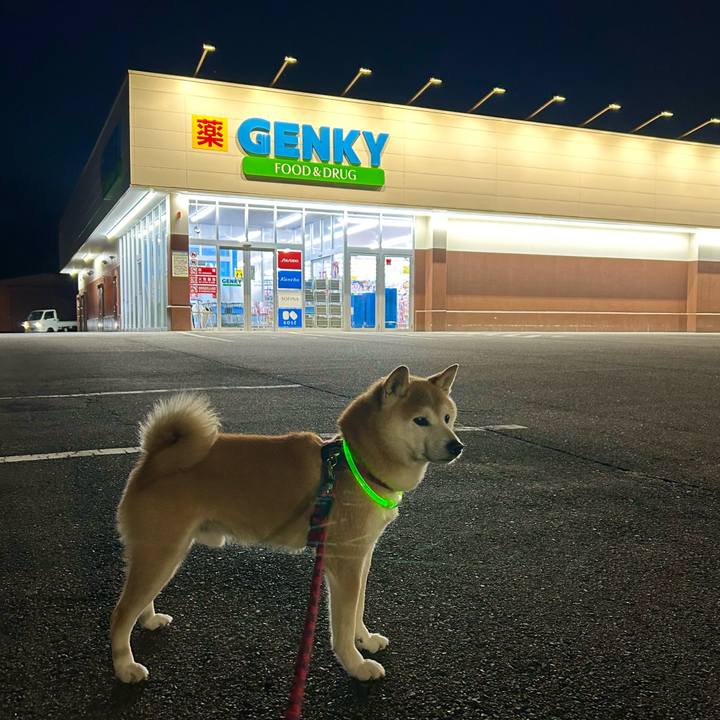 257c5851 e09b 47cc ab43 96c0694e2ae7 1718709324501