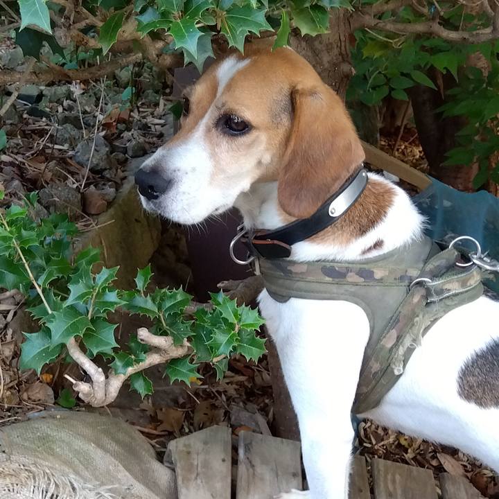 257ca119 3e17 4313 ac91 91eb87529ab0 1694353947169