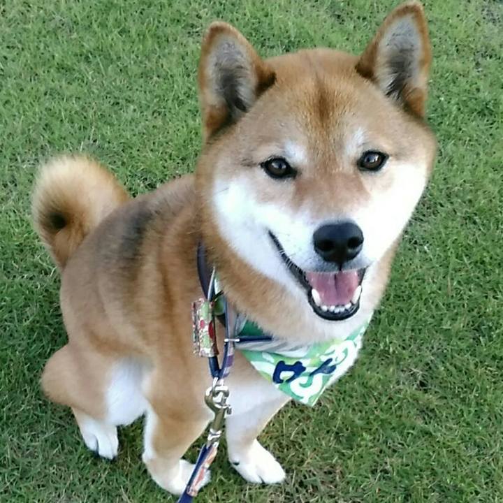 257cabf9 7e3e 434e a719 750e6a5fc25d 1560681907191