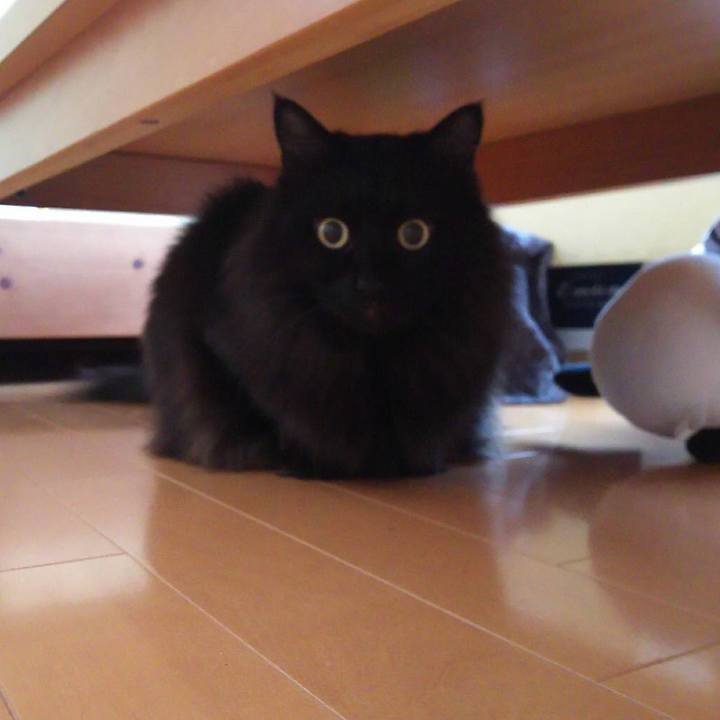 257cbe98 f281 4581 b534 d36b537eb60d 1547074103139