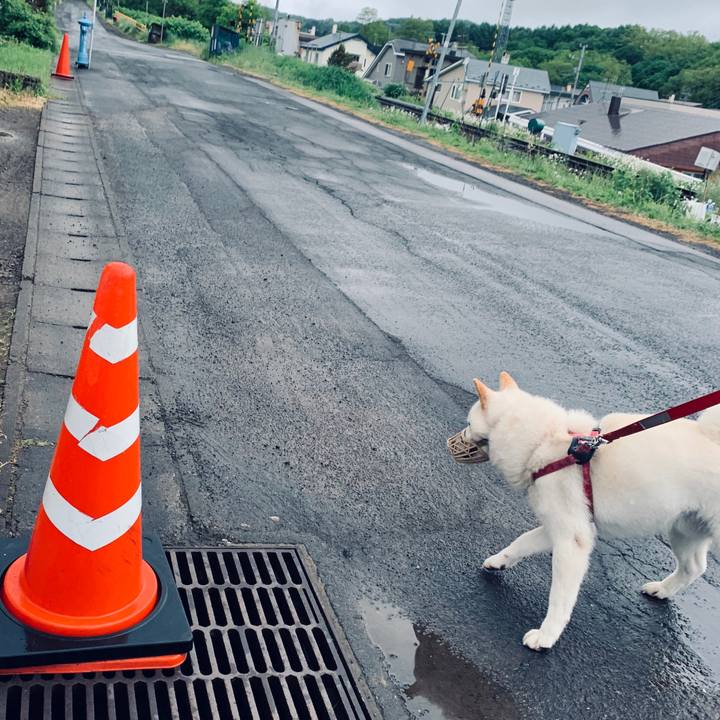 257cc548 29c7 4d1d b7b6 06c9ebba3ce2 1591480465192