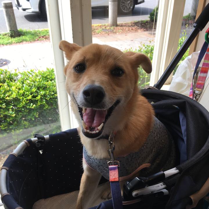 257cc766 21d2 49cc 8de6 2dd0e252159e 1529858115126