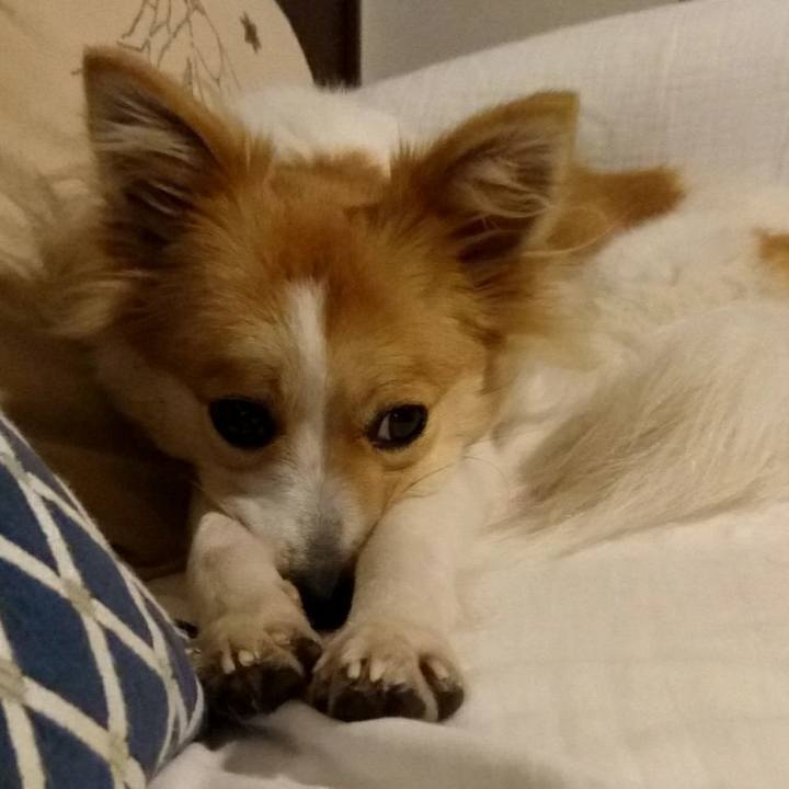 257d31ba 1c40 4d11 b052 b6cfd856b587 1512999962977