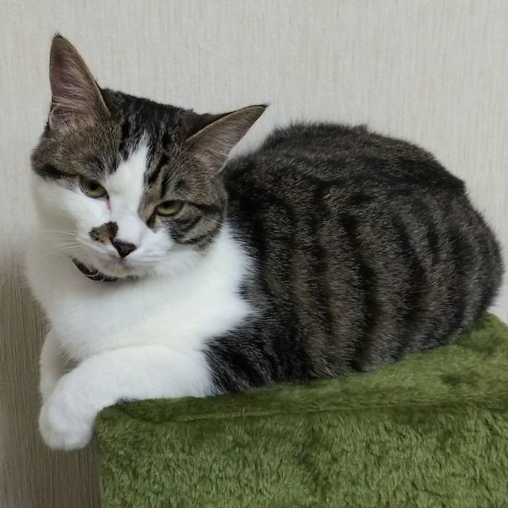 257d7b63 eb73 491b a706 a93f6e5489bc 1620310490655