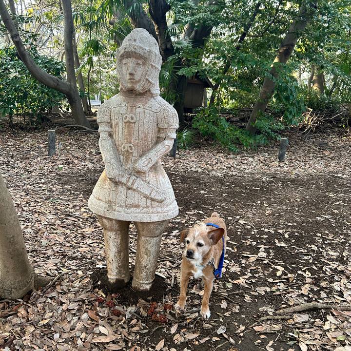 257d81df 875a 48ad 8f56 597c32d5f8a8 1742037917026