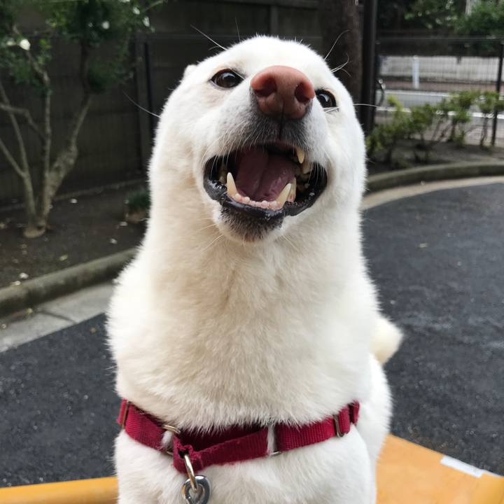 257dbf9d f6f0 4045 a36a 7f3a97bb698c 1533775698664