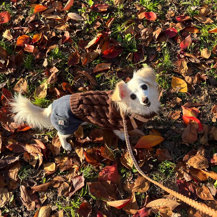 257dd4c6 d049 4d4a a503 cd9fe3116ef3 1764765463851