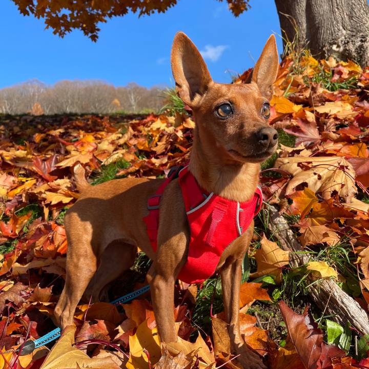 257dd624 d431 4184 b787 bcab0252de07 1636176698844