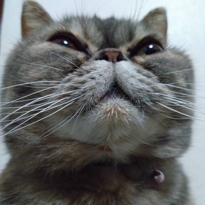 257de3e3 ff42 4cef a2a3 84a5869c26fb 1774959979679