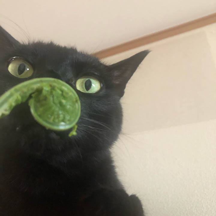 257e0667 4564 4eed a823 49cb3250d394 1588652488364