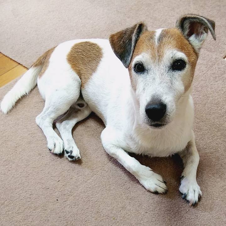 257e06ae 8fe5 4258 bf81 899c5a70cc31 1535863217559