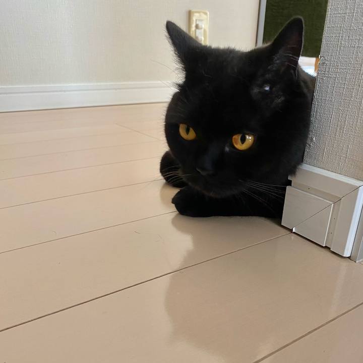 257e16c4 8084 4bee a28a 6fece88044c3 1623125422486