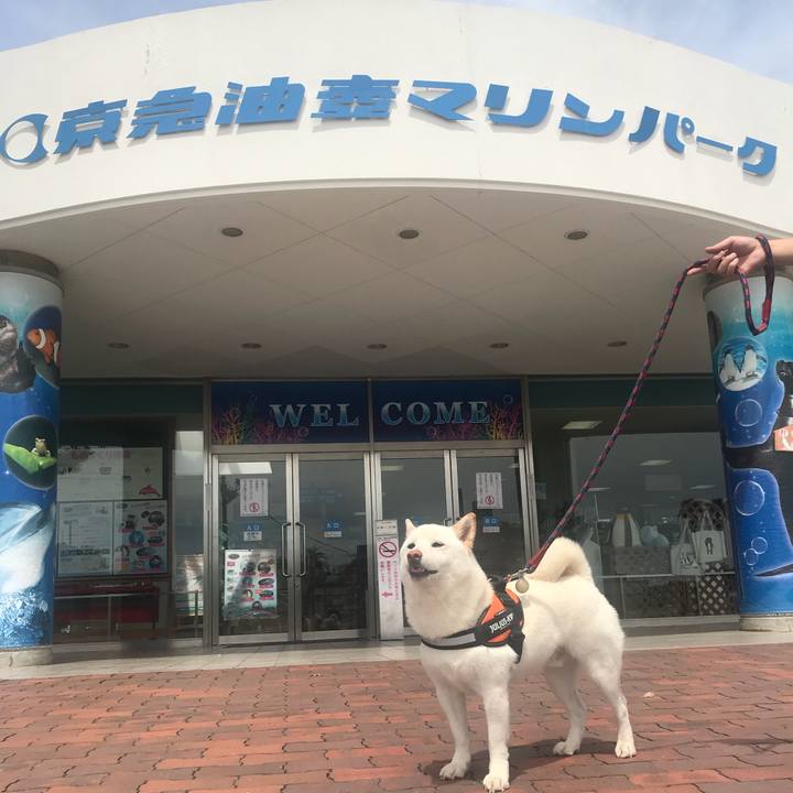 257e24ce a6b5 4c2f 8243 a7b575f6d07a 1532309837016