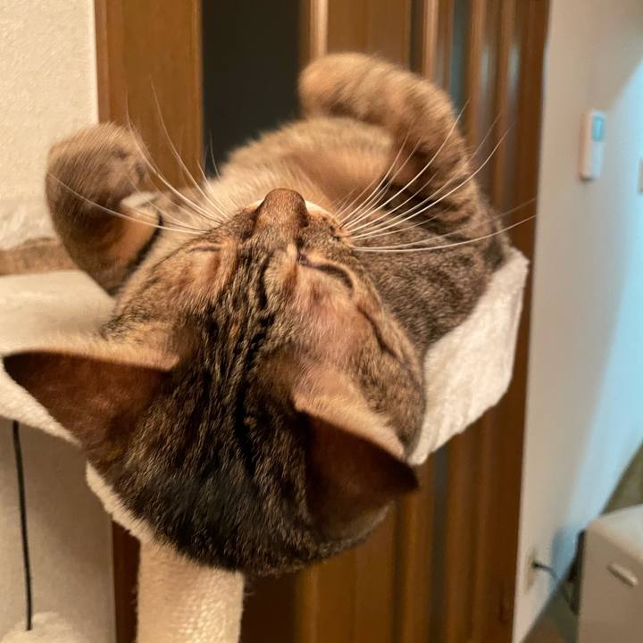 257e293e 75ef 4aa0 9b68 2709f75e739d 1636620917761