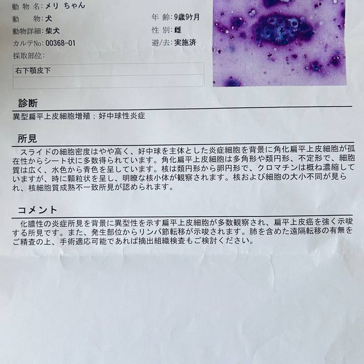 257e2adf be93 4ca9 9580 17eaa9e58d1e 1725586293468