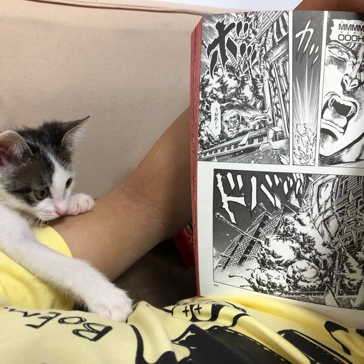 257e2cd5 3cfd 43d8 a7e6 d72f435dd065 1561518465106