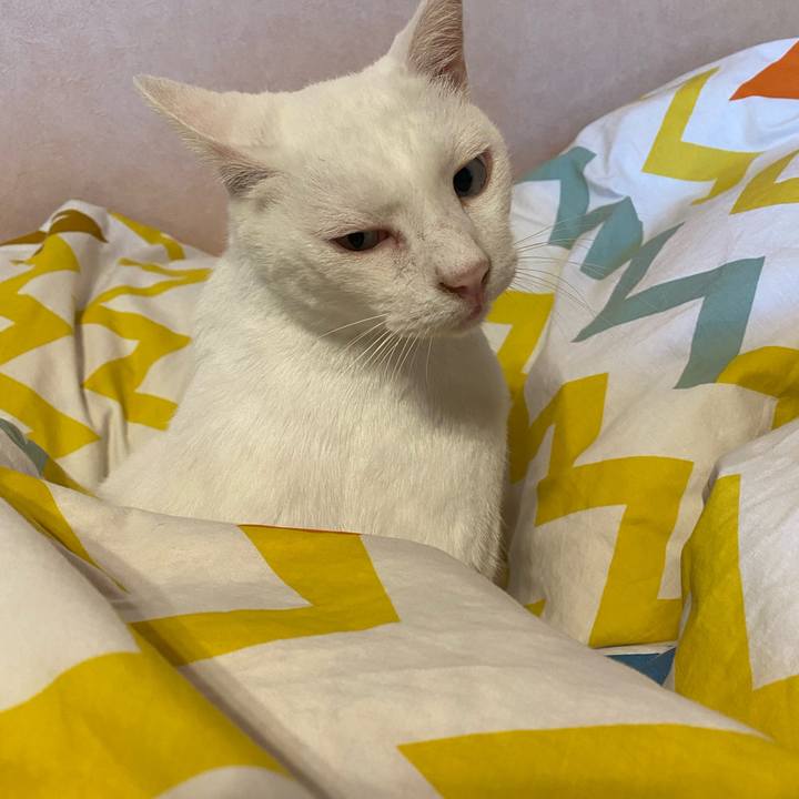 257e5e85 16db 4897 af4f 9c0c9cc85eef 1664489677311