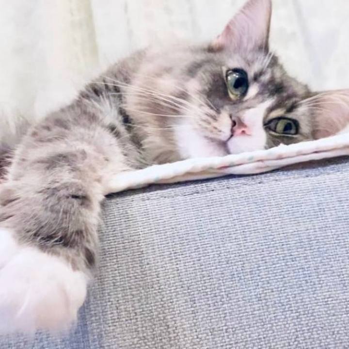 257e909a 0af9 4be7 a269 d1e5e12efd44 1754320756065