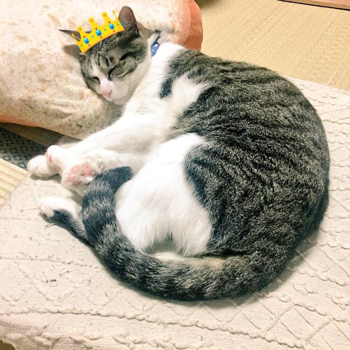 257e911f 43b6 43c5 9c16 68855f128f8f 1527863601252