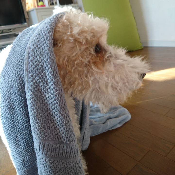 257e96e3 aeed 4e40 bd3c 52c62544b9b8 1513228246916