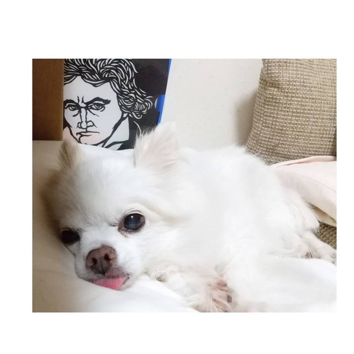 257eac51 4731 47a4 add9 d4215d84968f 1662895175534