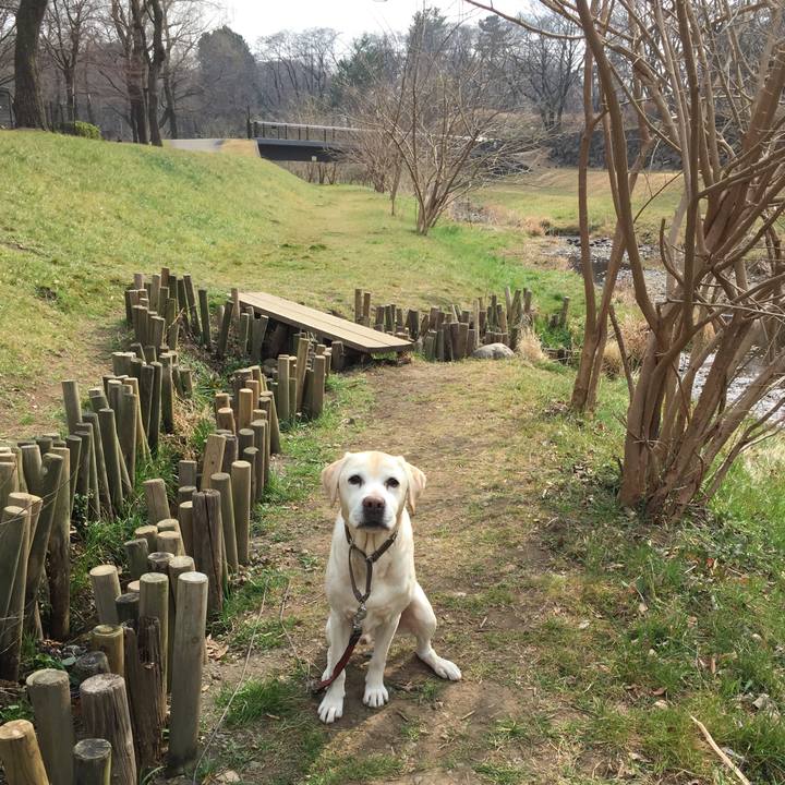 257ecf25 a98a 4749 9e4c 4bccc5a66ee2 1551333301414