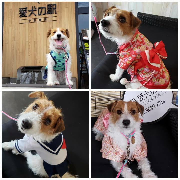 257f0ed1 3f18 4783 94d4 4594adc56de1 1566789613787