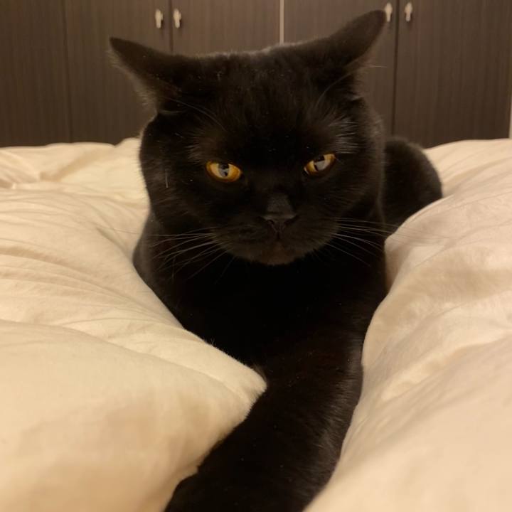 257f0ff8 b60f 40b0 b4ed c603f8e12c71 1616764678761