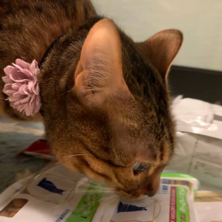 257f33eb 51df 433a 9f88 fbe995ed0eb0 1549847013674