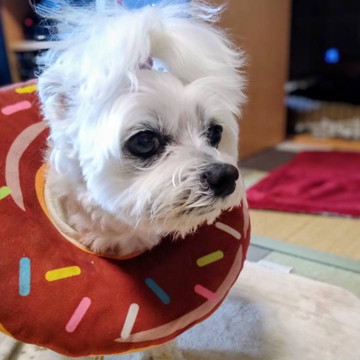 257f7d60 dc35 4b35 90a0 65a062a61bcf 1768041741959