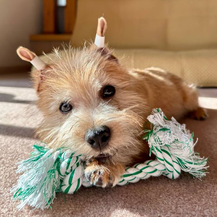 257f9cdc 4106 4cc2 9e86 16823ff4ac4e 1704874764744