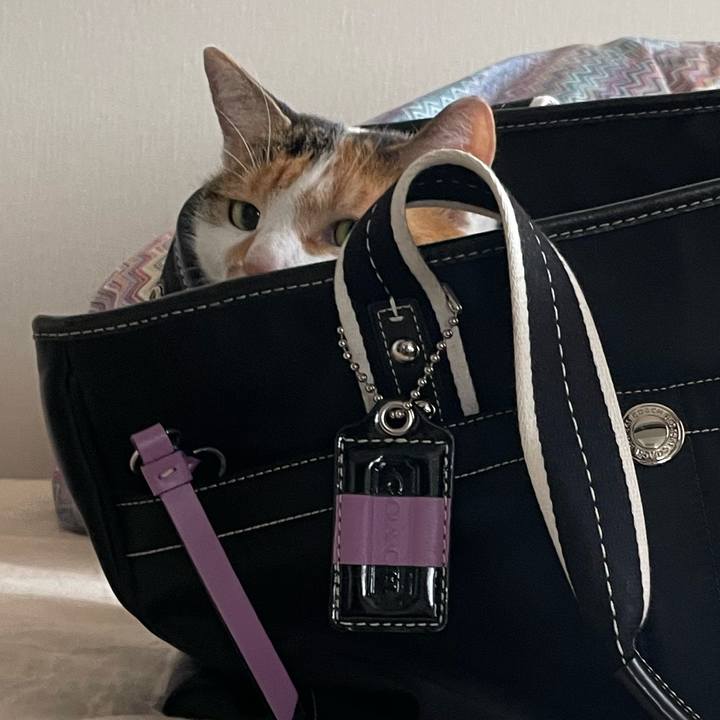 257fb0fd 1bf5 4737 a1ce e6f6b760d4b3 1725913908274