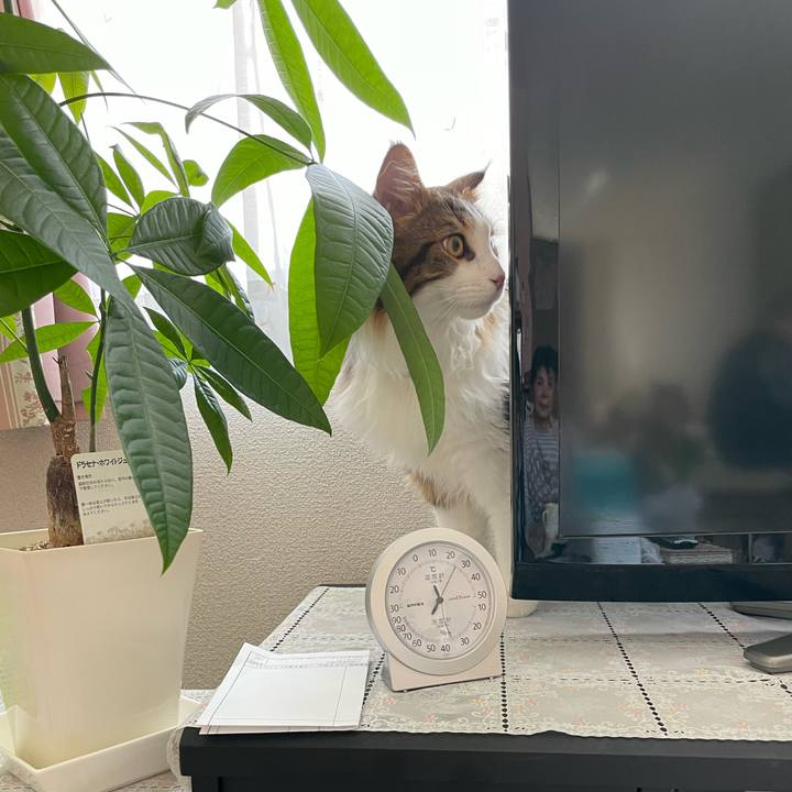 257fb1e3 6d55 40eb 921f 3a8cf9989c2f 1644644511733