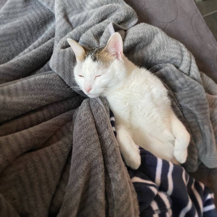 257fb66f f06e 4a0b 929f 0762c34edb74 1575209026101