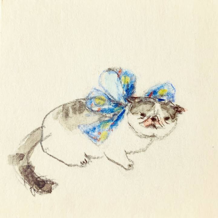 257fc4c1 1436 4b21 877a 094d0b123c64 1632742958410