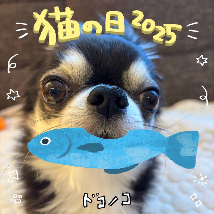 257ffdb5 75d2 437f 96f6 0694f6120e95 1740179387706