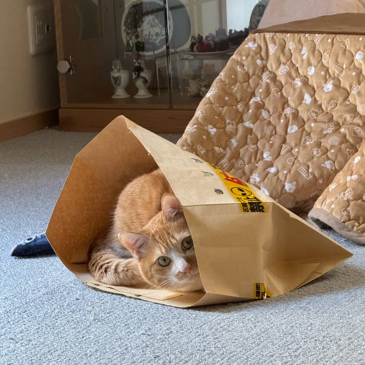 25800039 d0df 40b3 ae54 e79c37750e09 1770087627941