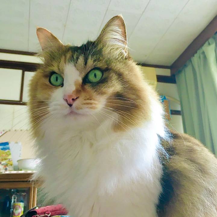 258002bb e3fc 495b b307 b07628d19a57 1612771079593