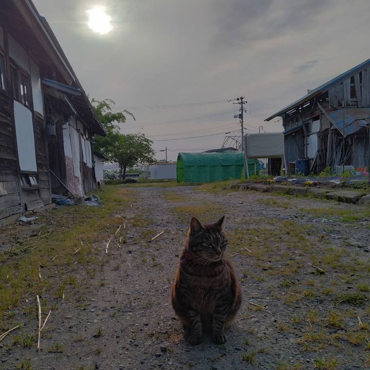 258004a7 07ef 4c1d a494 6738149bf0ac 1684705580561