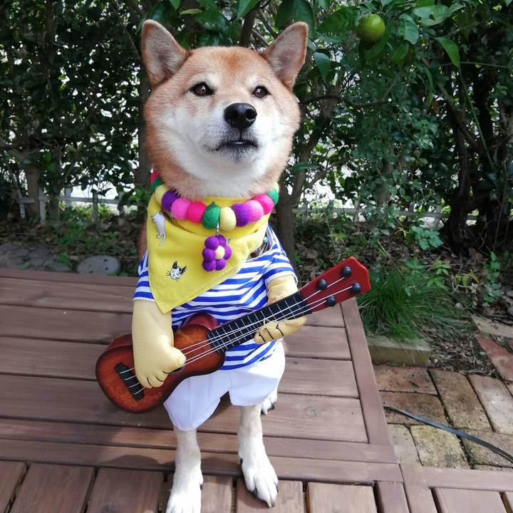 2580505a 1710 47b1 b331 eb10c878252d 1603157897006