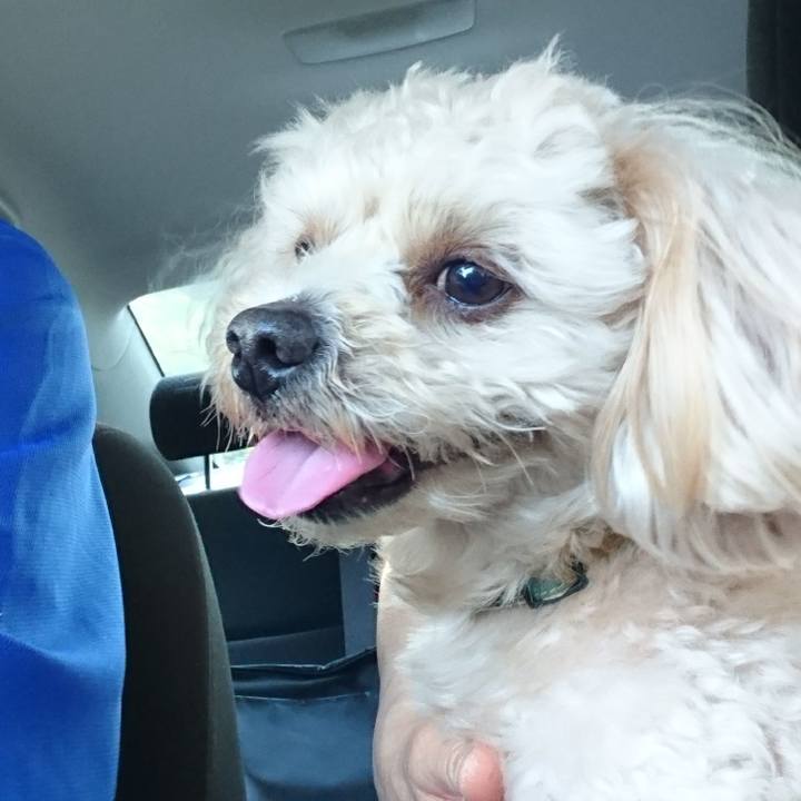 258057ef 9099 49d6 b487 73a3b076a36d 1527334275098