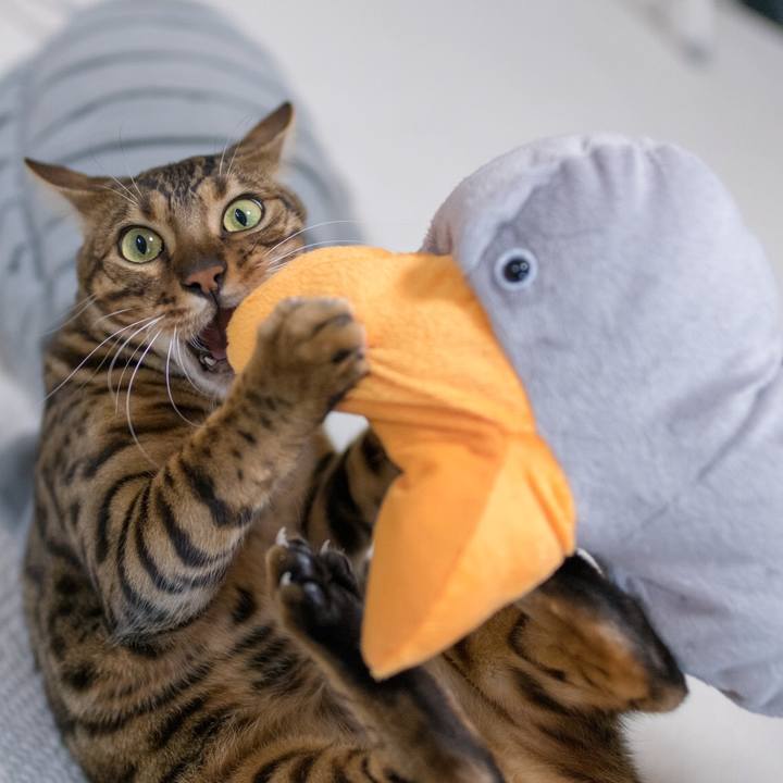 2580d32e f77a 4955 9b26 d4b7d7d5eda0 1521026347402