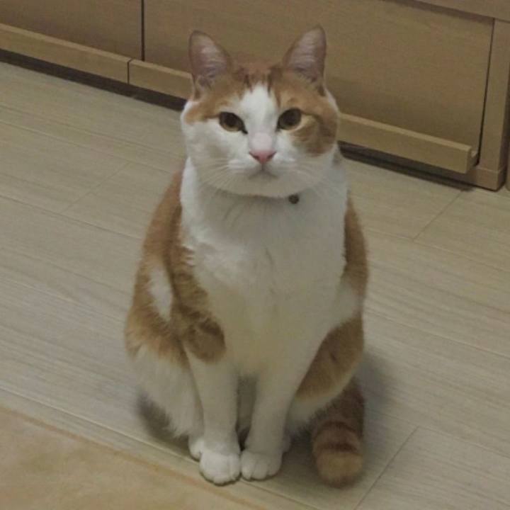 2580db82 1112 4360 bacc 23c169351a4f 1587380681767