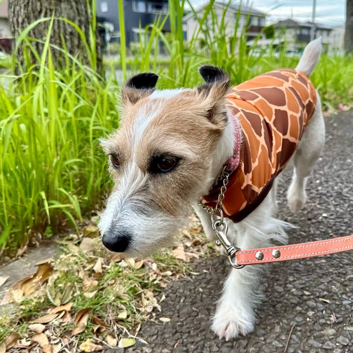 2580ed96 3141 49b7 b1b4 e99cf7dc561a 1714996057031