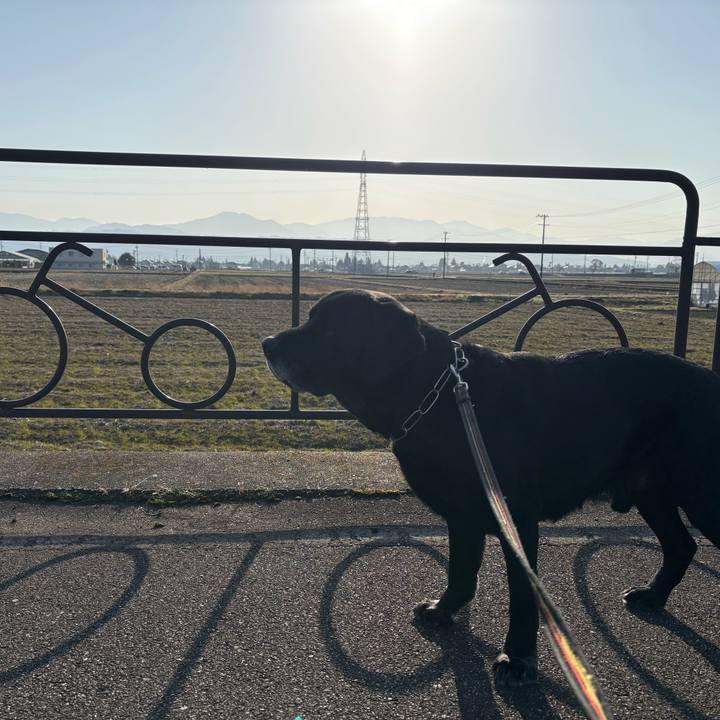 2580f4f9 40b2 488e a52e 26f91cb4e98d 1774093584406