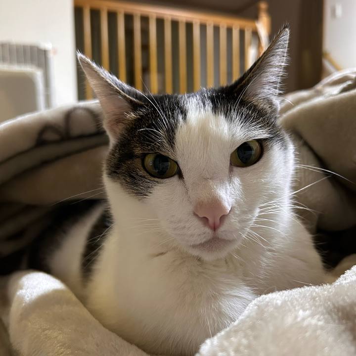 25810de8 875f 4e0b 885a ed5e2564c158 1745849375418