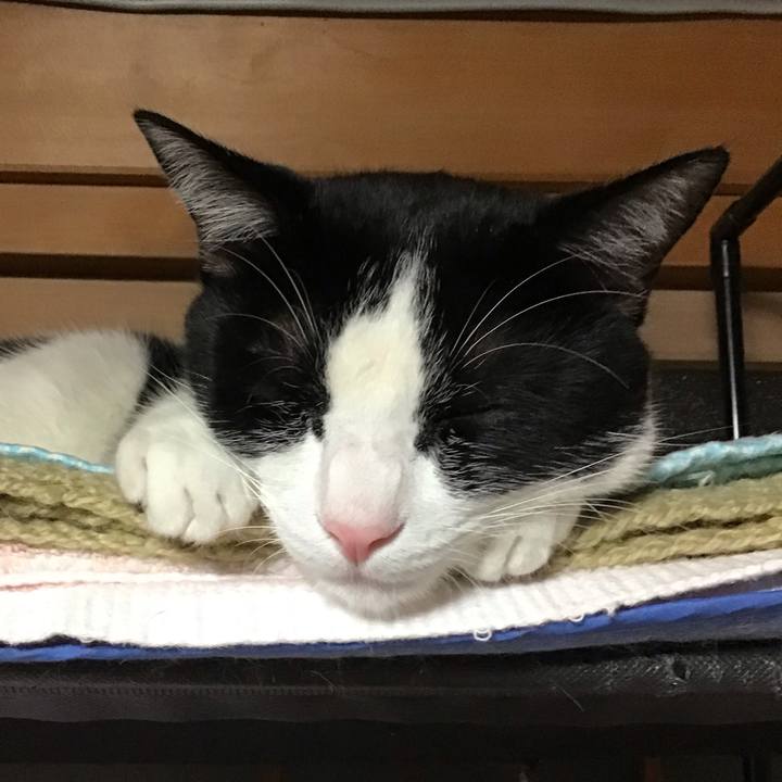 25811387 5315 426d a0a7 f4ce790b9e1b 1656939237964