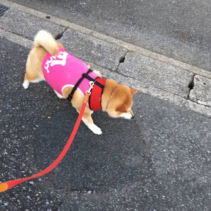 2581757c 7507 4242 80e9 845d0f155db3 1597186657585